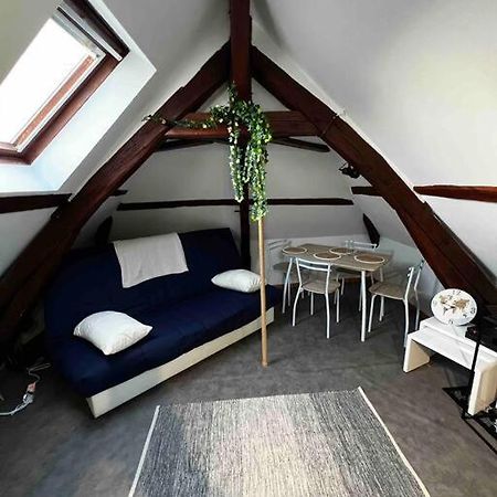 Tres Beau Studio Mansarde, Centre De Bourges Appartement Buitenkant foto