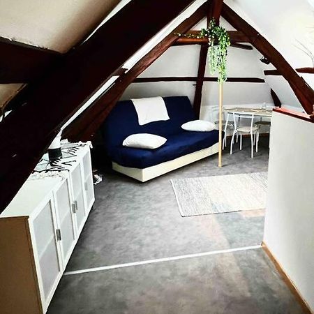 Tres Beau Studio Mansarde, Centre De Bourges Appartement Buitenkant foto