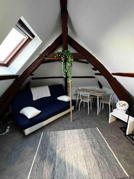 Tres Beau Studio Mansarde, Centre De Bourges Appartement Buitenkant foto
