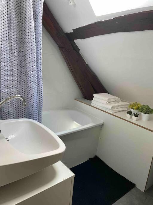 Tres Beau Studio Mansarde, Centre De Bourges Appartement Buitenkant foto