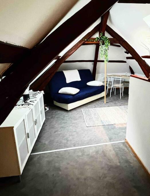Tres Beau Studio Mansarde, Centre De Bourges Appartement Buitenkant foto